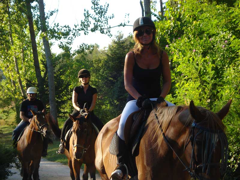 Passeggiate a cavallo e maneggio gubbio